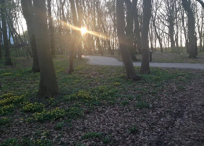 Superior Pastelowy Przy Plazy Lägenhet